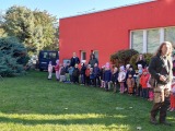 Obrázek v galerii