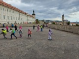Obrázek v galerii