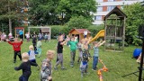 Obrázek v galerii