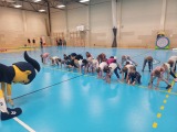 Obrázek v galerii