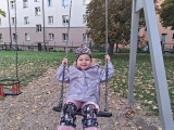 Obrázek v galerii