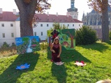 Obrázek v galerii