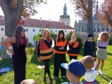 Obrázek v galerii