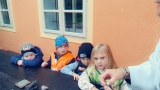 Obrázek v galerii