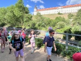 Obrázek v galerii