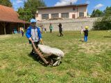 Obrázek v galerii