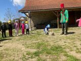 Obrázek v galerii