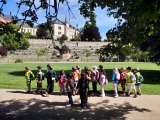 Obrázek v galerii