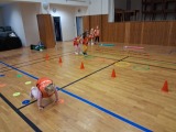 Obrázek v galerii
