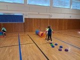 Obrázek v galerii