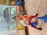 Obrázek v galerii