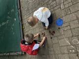 Obrázek v galerii