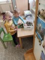 Obrázek v galerii