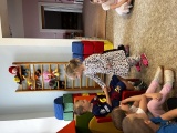 Obrázek v galerii