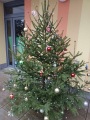 Zdobení vánočního stromečku - Pampeliška, Kopretina